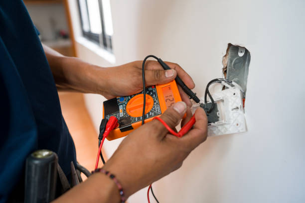 Best Local Electrician Companies  in Lake Holiday, IN